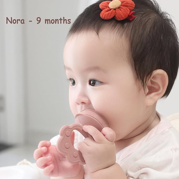 Ginbear Silicone Baby Fruit Food Feeder & Freezer Tray (Set of 2), Infant Teething Feeder Pacifiers with Popsicle Molds Combo 4 Months+ (Mauve/Baby Pink)