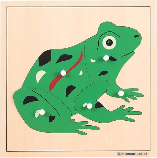 Montessori Outlet Frog Puzzle for 3-6 Years Montessori Education at School and Home