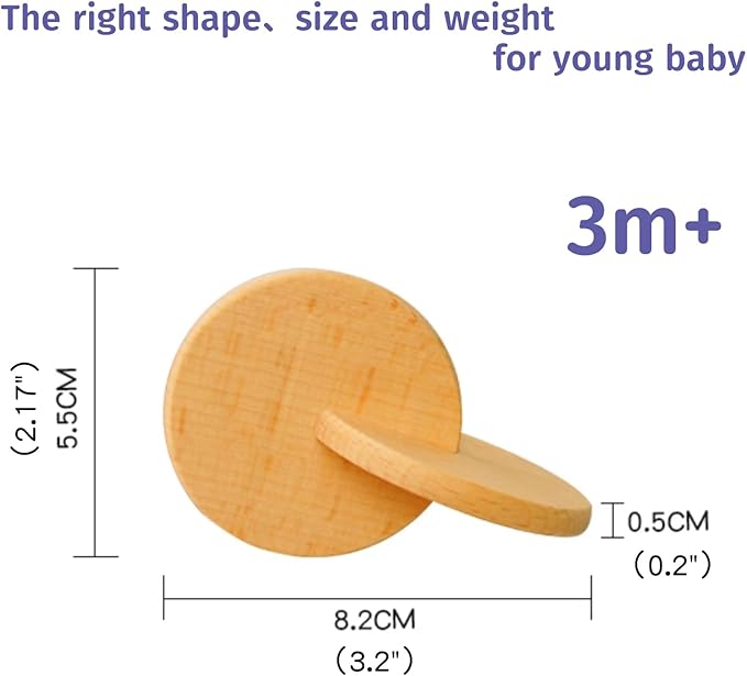 Interlocking Discs Montessori Wooden Materials for Baby