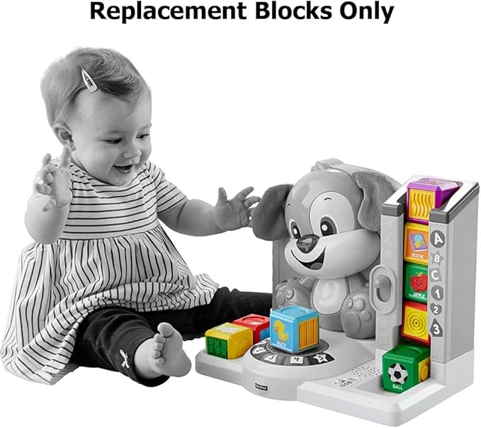 Replacement Parts for Fisher-Price Laugh & Learn First Words Smart Puppy - FFN33 ~ Replacement Blocks
