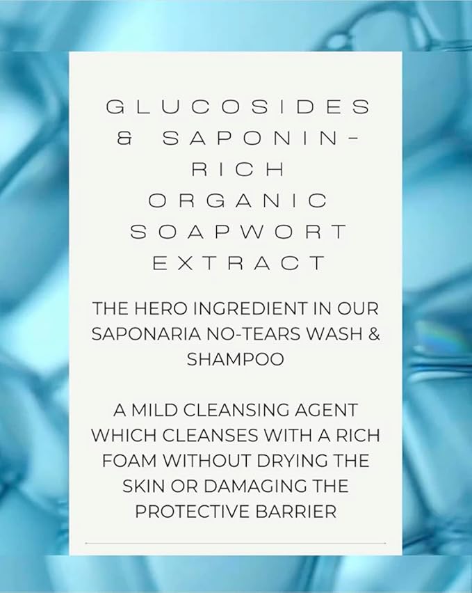 VIVAIODAYS Organic Saponaria No-Tears Wash & Shampoo, Mild, Vegan, Gentle and Soap Free (3.4 fl.oz. | 100 ml)