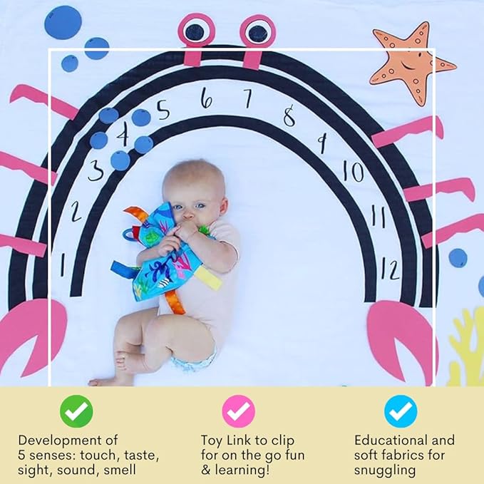 Baby Jack & Co 8x8” Ocean Lovey Tag Toys for Babies - Crinkle Toys for Developmental Play - Soft & Safe - Learn Shapes & Colors - Ideal Toy for Tummy Time - BPA Free w/Stroller Clip