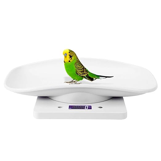 Digital Pet Scale, 10kg/1g Portable LED Scale Digital Weight Scale High Accuracy Weighing Pet Scale Kitchen Scale, Digital Baby Pet Scale for Puppy, Kitty, Food