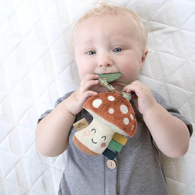 Itzy Ritzy Infant Toy & Teether - Itzy Pal Baby Teething Toy Includes Lovey, Crinkle Sound, Textured Ribbons & Silicone Teether Toy for Newborn (Mushroom)