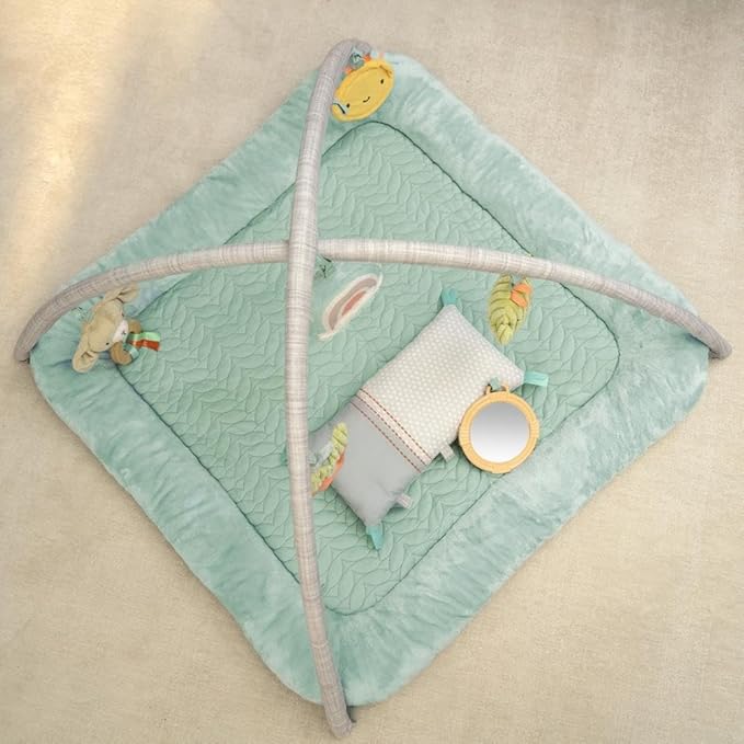 Ingenuity Calm Springs Plush Activity Gym for Baby, Ultra-Soft Premium Mat, Toys