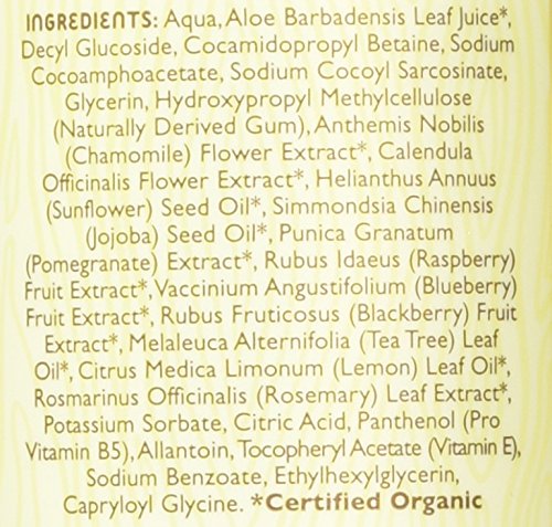 Little Twig Baby Wash, Natural Plant Derived Formula, Berry Pomegranate, 8.5 fl oz (Pack of 2)
