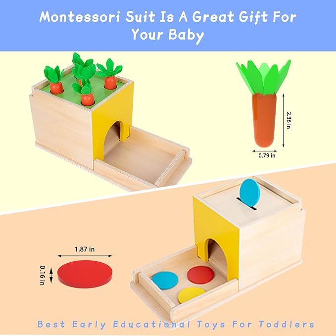 Adena Montessori 5 in 1 Wooden Montessori Play Kit Baby Toys,Object Permanence Box,Matchstick Color Drop,Cotton Swab Drop Game,Carrot Harvest and Coin Box for Kid 1 Year Old,Gift for Baby 6-12 Month