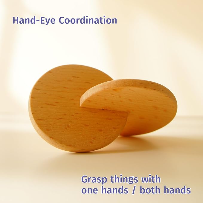 Interlocking Discs Montessori Wooden Materials for Baby