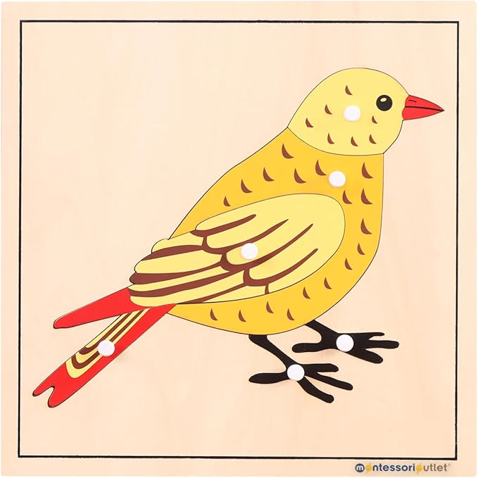 Montessori Bird Anatomy Puzzle, Wooden Body Parts Learning Toy, Preschool Science Puzzle for Kids Ages 3-6, Classroom & Homeschool, Baltic Birch