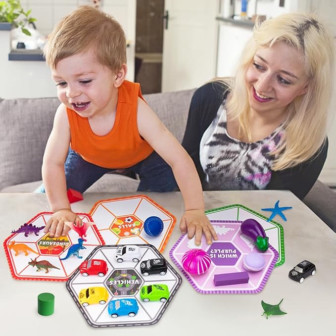 Sorting Toys for Toddlers, Match Card & Sort Game Set, Sensory Toys, Multiple Themes Fine Motor Sorting Games, Preschool Educational Learning Toys Sorting Matching Playset for Boys and Girls
