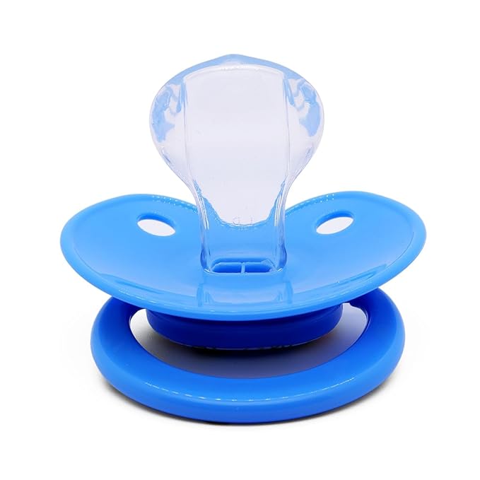 Adult Sized Pacifier Adorable Blue Capybara Cute Printed with Case Reusable Storage Box Pacifier Clips