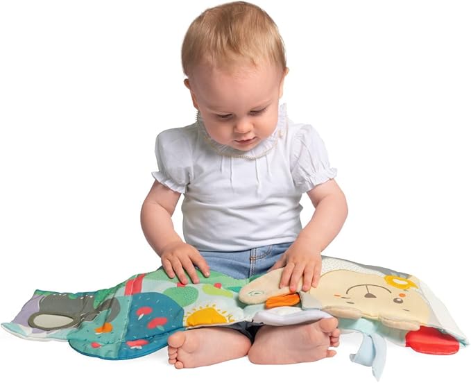 Chicco 00012162000000 Book, Multi-Coloured