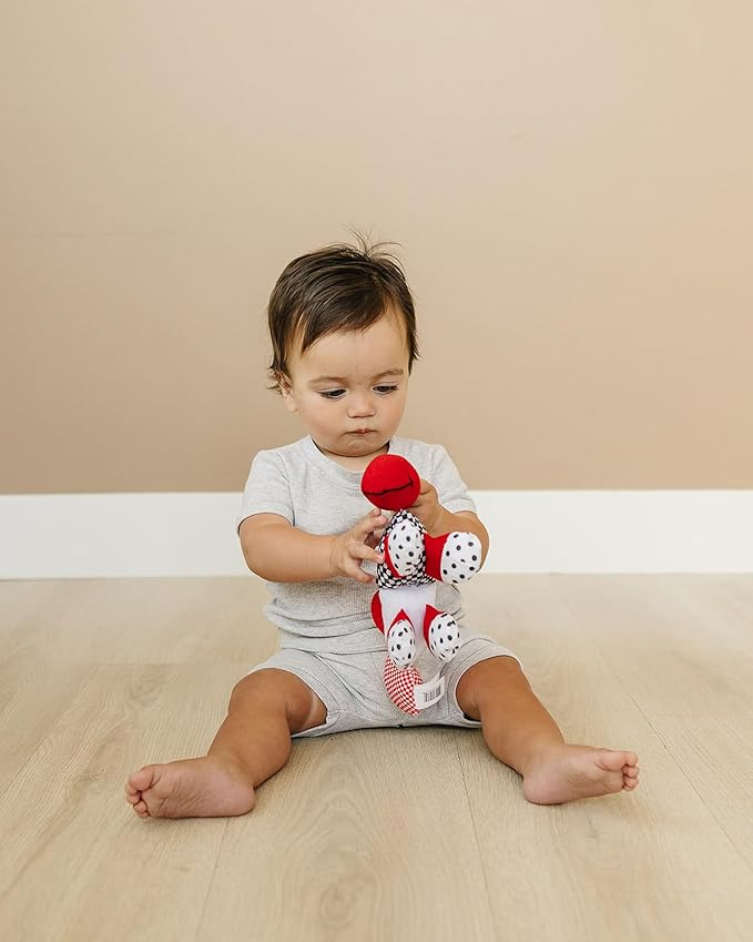 Teething Toys 3-6 Months - High Contrast Caterpillar Sensory Toy with Baby Rattle, Multiple Textures, Sounds, Baby Teethers, Nontoxic, New Babies Must Haves, Teether Toys, Helps w Teething Pain Relief