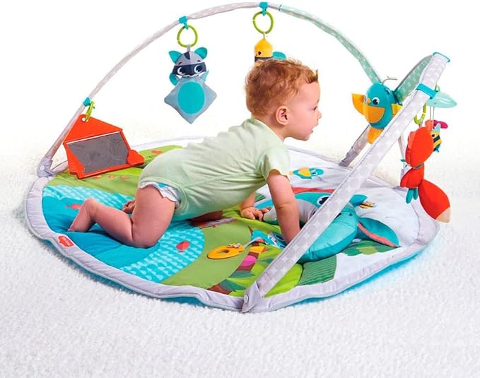 Meadow Days - Dynamic Gymini