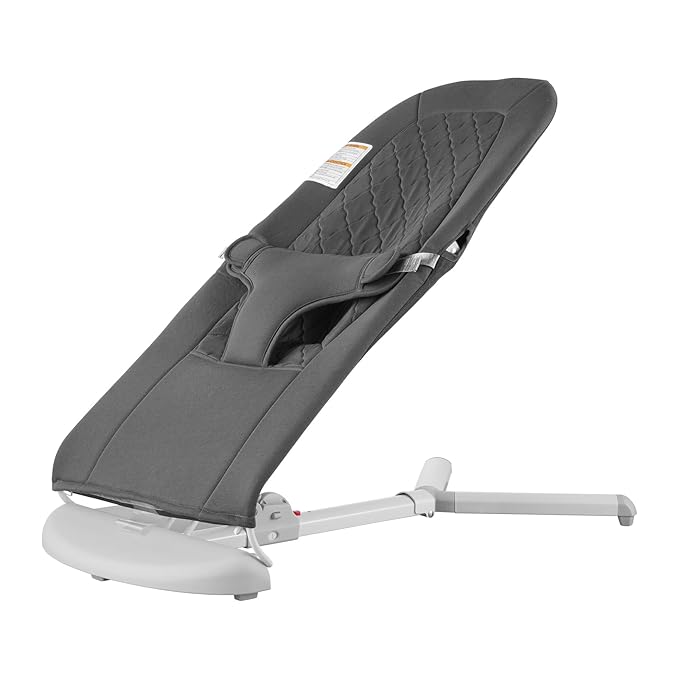 VEVOR Baby Bouncer, Folding Bouncer Seat for Babies 0-9 Months, Portable Baby Bouncer Seat with 2 Reclining Angles, 3-Point Harness & Carrying Bag, Ideal for Indoors Outdoors, Dark Gray