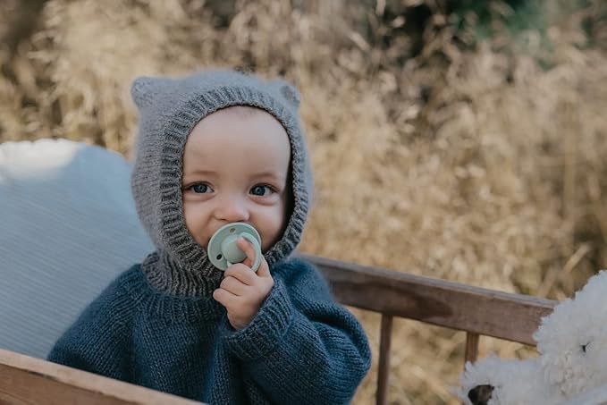 BIBS Pacifiers - De Lux Collection | BPA-Free Baby Pacifier | Made in Denmark | Set of 2 Blossom/Haze Color Premium Soothers | Size 6-18 Months