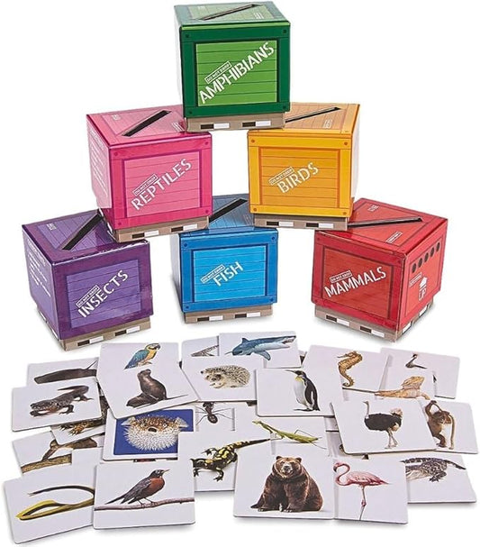 Fun Express Animal Classifications Sorting Boxes - 37 Pieces - Educational and Learning Activities for Kids