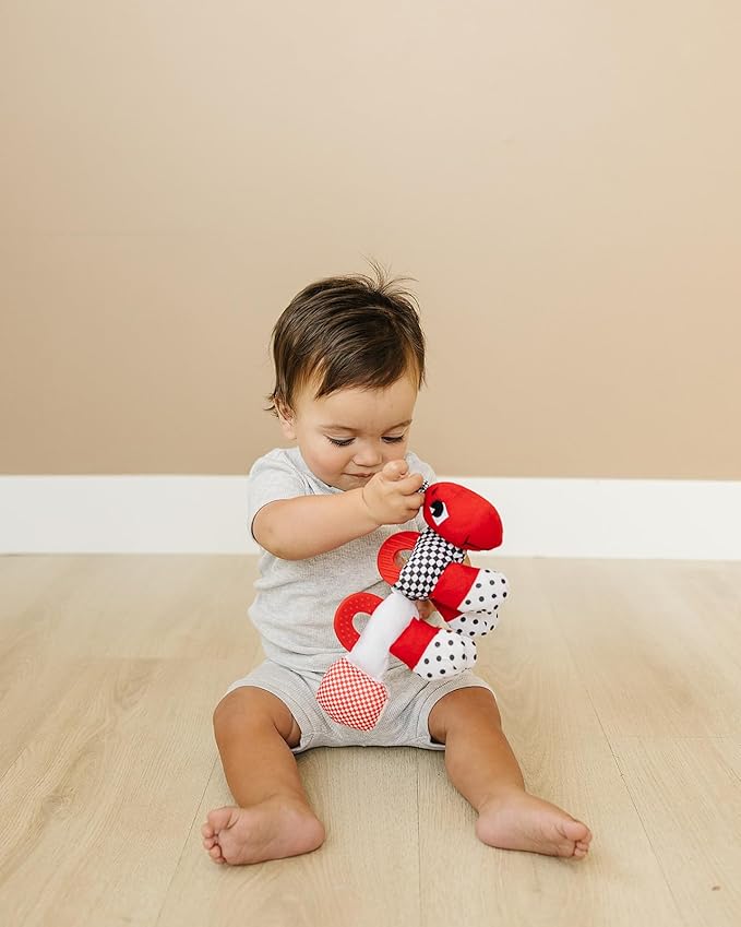 Teething Toys 3-6 Months - High Contrast Caterpillar Sensory Toy with Baby Rattle, Multiple Textures, Sounds, Baby Teethers, Nontoxic, New Babies Must Haves, Teether Toys, Helps w Teething Pain Relief