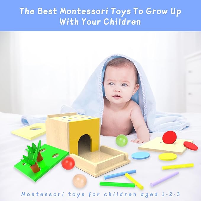 Adena Montessori 5 in 1 Wooden Montessori Play Kit Baby Toys,Object Permanence Box,Matchstick Color Drop,Cotton Swab Drop Game,Carrot Harvest and Coin Box for Kid 1 Year Old,Gift for Baby 6-12 Month