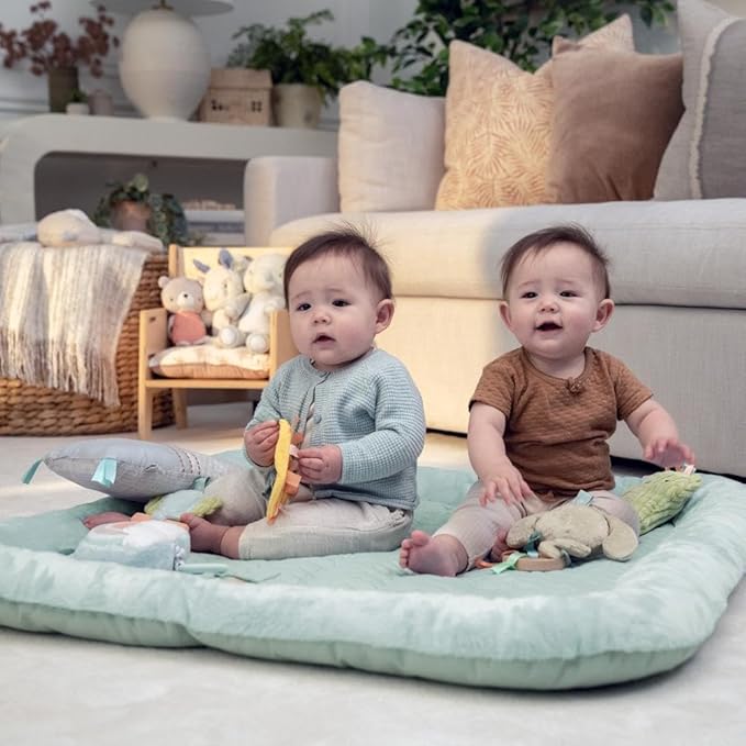 Ingenuity Calm Springs Plush Activity Gym for Baby, Ultra-Soft Premium Mat, Toys