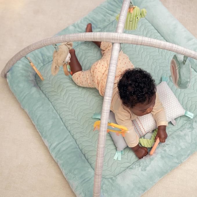 Ingenuity Calm Springs Plush Activity Gym for Baby, Ultra-Soft Premium Mat, Toys
