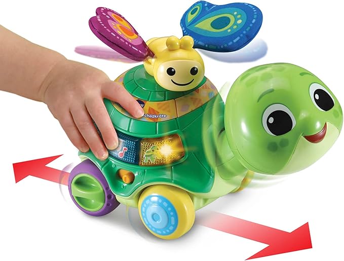Schiebespaß-Schildkröte