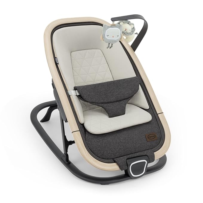 Noah 2-in-1 Baby Bouncer & Rocker - Portable Reclining Chair with Cushion & Toys for Infants 0-9 Months, Charcoal