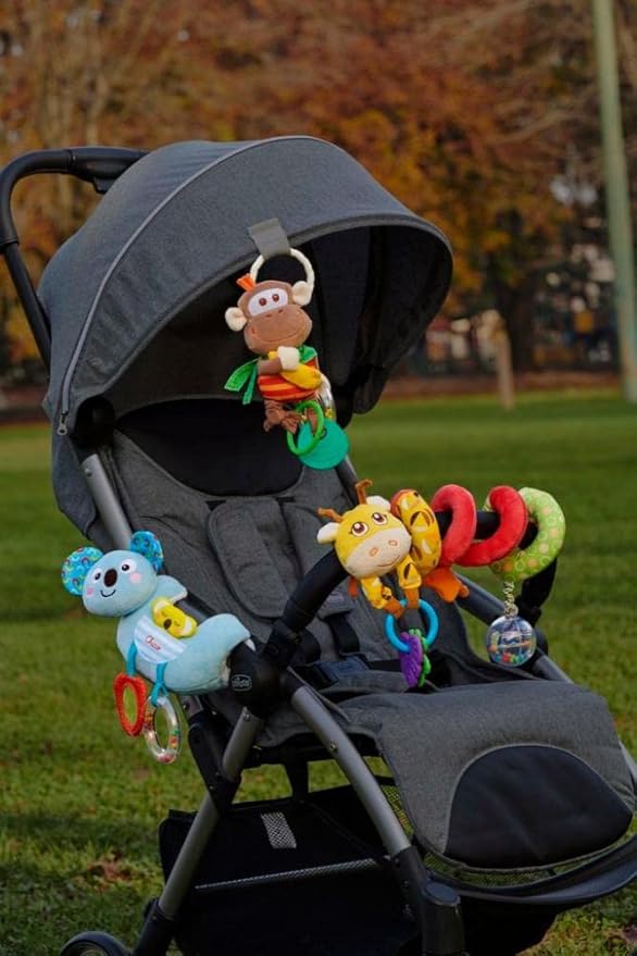 chicco 00010059000000 Stroller Toy, Multi