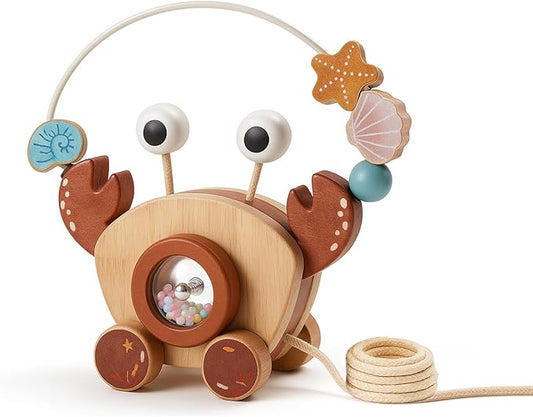 Pull-Along Walking Toys for Babies 12 Months +,4 in 1 Push and Pull Toy for Toddlers Aged 1-2 and 3-4 Years Old, Wooden Baby Toys, Montessori Early Development Sensory Toy