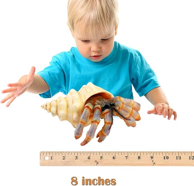 Gemini&Genius Sea Animal Hermit Crab Action Figure Toy for Kids, Soft Rubber Realistic Ocean Crab Educational and Role Play Toys for Kids and Collectors, Great Swimming and Bath Toys (Hermit Crab)