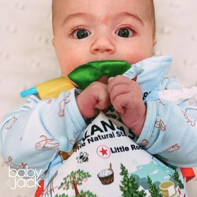 Baby Jack & Co 8x8” Learning Lovey Michigan State Tag Stroller Toy for Babies - Crinkle Toys for Developing Five Senses - Learn About Capitals - Travel with Baby Jack - BPA Free Clip