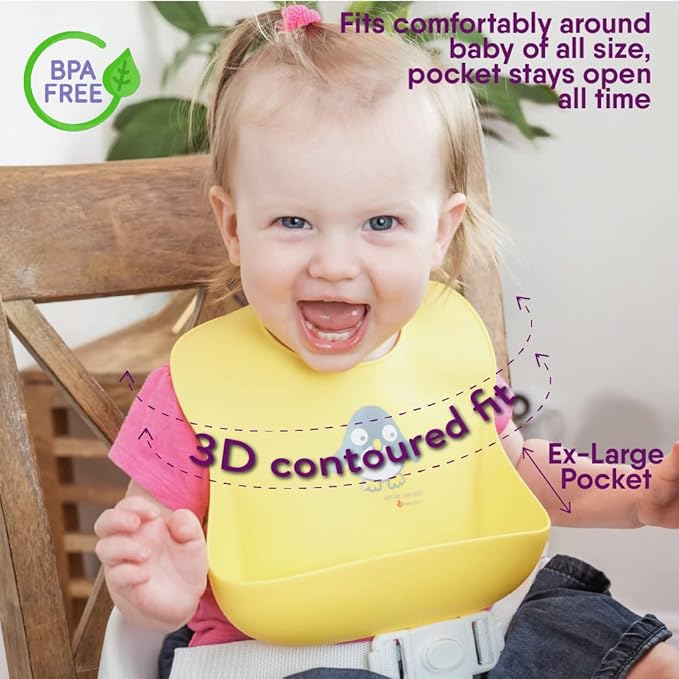 NatureBond Baby Food/Fruit Feeder (2 Pack) and Silicone Baby Bibs (Set of 2 w/Carry Pouch) Bundle