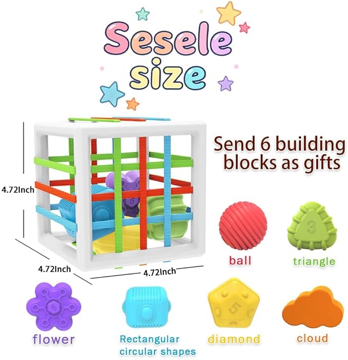 EasierLTtoys Suitable for 1-Year-Old Babies, 6-piece Multi-Sensory Shape Toys, Early Childhood Development Learning Birthday Gift, 12-Month Baby Toys