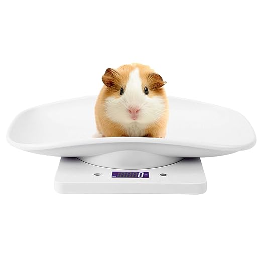 Digital Pet Scale, 10kg/1g Portable LED Scale Digital Weight Scale High Accuracy Weighing Pet Scale Kitchen Scale, Digital Baby Pet Scale for Puppy, Kitty, Food