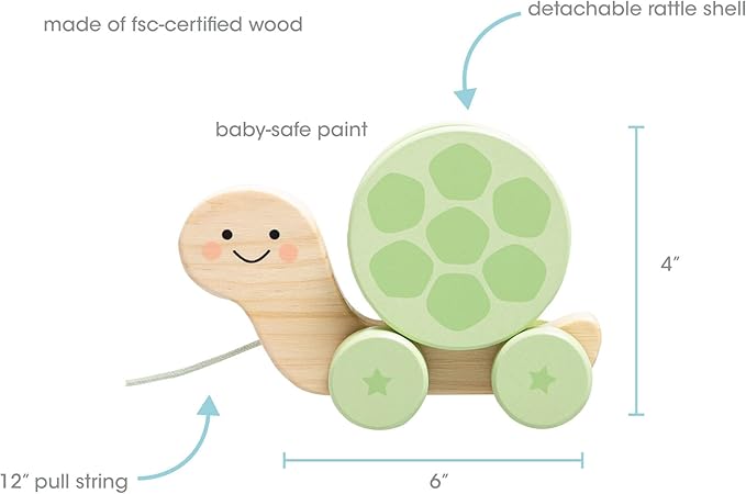 Pearhead Wooden Turtle Push and Pull Toy, Montessori Shake and Rattle Shell, Baby Walking and Gross Motor Development Learning, Pull Along Car Toy, Ages 12m+