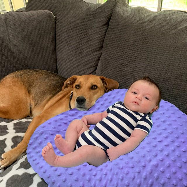 Newborn Lounger Cover, Minky Cover for Newborn Lounger, Original Newborn Lounger Cover, Reversible Minky Lounger Cover, Cover Original Newborn Lounger, Cover for Newborn Lounger Pillow