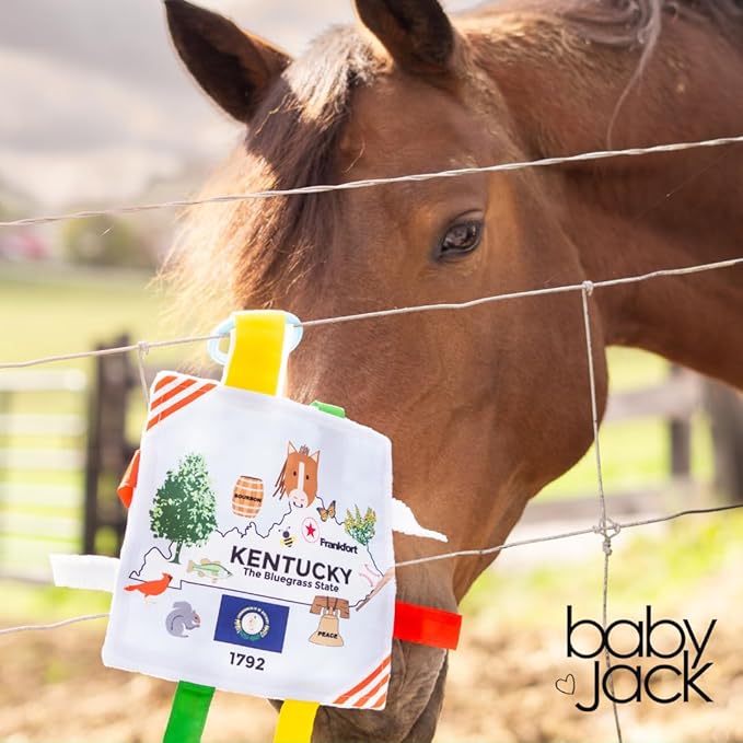 Baby Jack & Co 8x8” Learning Lovey Kentucky State Tag Stroller Toy for Babies - Crinkle Toys for Developing Five Senses - Learn USA State Facts - Travel with Baby Jack - BPA Free w/Stroller Clip
