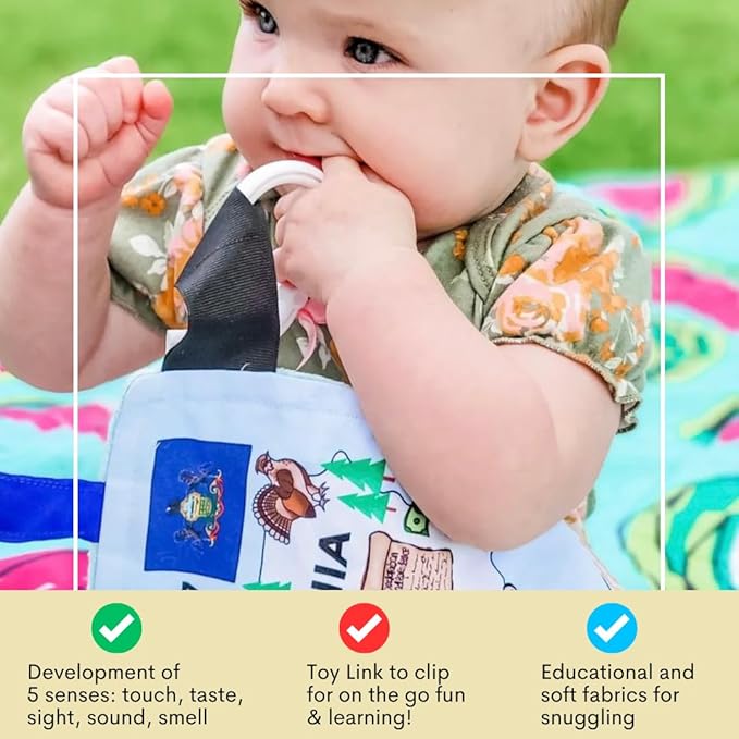 Baby Jack & Co 8x8” Learning Lovey Alaska State Tag Stroller Toy for Babies - Crinkle Toys for Developing Five Senses - Learn About Capitals - Travel with Baby Jack - BPA Free Clip