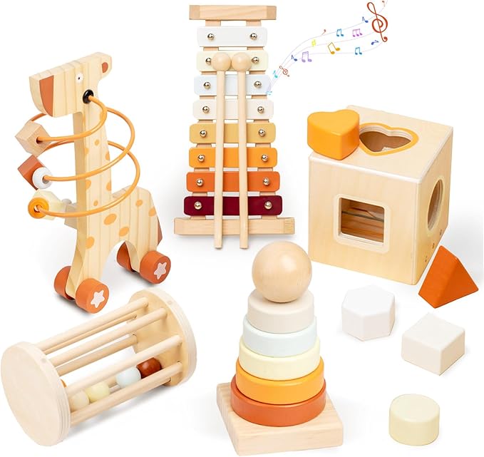 Wooden Montessori Toys for 6-12 Months,Montessori Baby Blocks Toy for 6-12-18 Months,Shape Sorting,Xylophone,Development Toys for Girls Boys Birthday Chiristmas Gifts