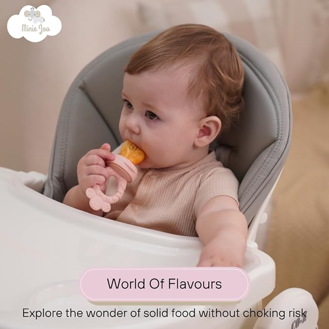 Baby Fruit Feeder Set – BPA-Free Silicone Fresh Food Feeder with 3 Replacement Teats, Teething Feeder for Fruits & Purees, Safe Self-Feeding for Babies 4+ Months