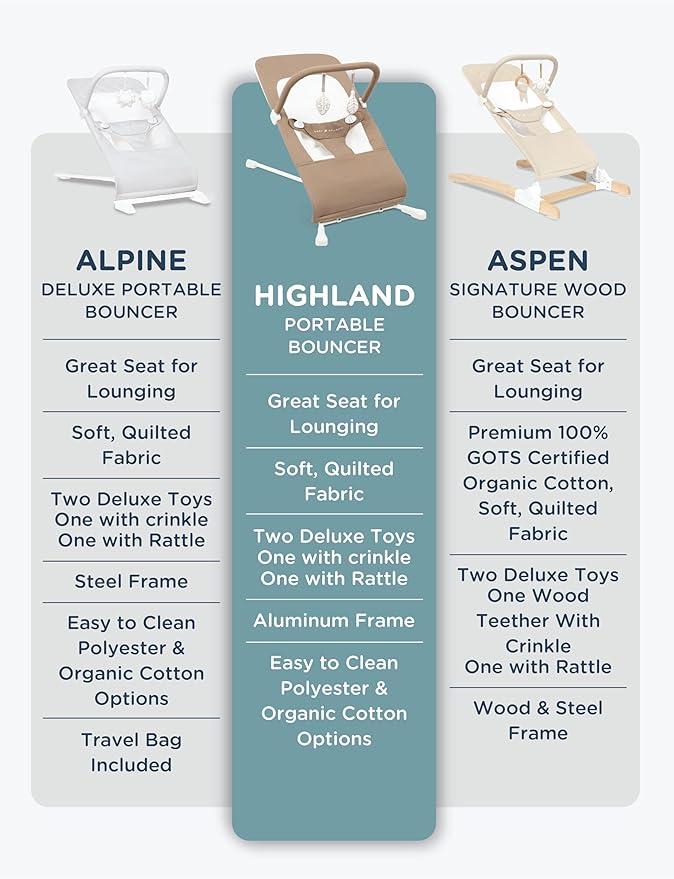 Baby Delight Highland Organic Baby Bouncer | Infant | 0 – 6 Months | 3-Position Recline | Organic Mocha