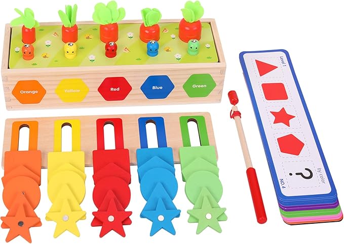 Montessori for Toddlers, Magnetic Color Shape Sorting Matching Box, Early Learning Toys, Wooden Educational Toy, Fine Motor Skills Toys for Boys Girls