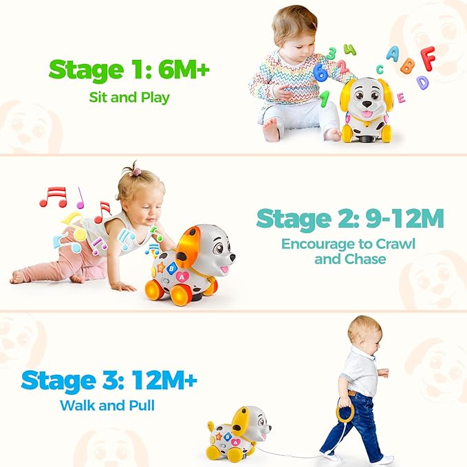 Musical House Toy and Musical Puppy Toy Bundle