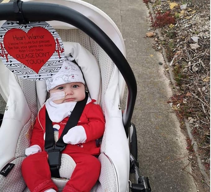 Three Little Tots Two Pack - Heart Warrior No Touching Baby Car Seat and Stroller Signs - CPSIA Safety Tested
