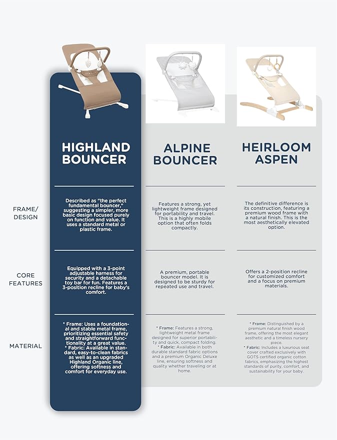 Baby Delight Highland Baby Bouncer | Infant | 0 – 6 Months | 3-Position Recline | Mocha Tweed