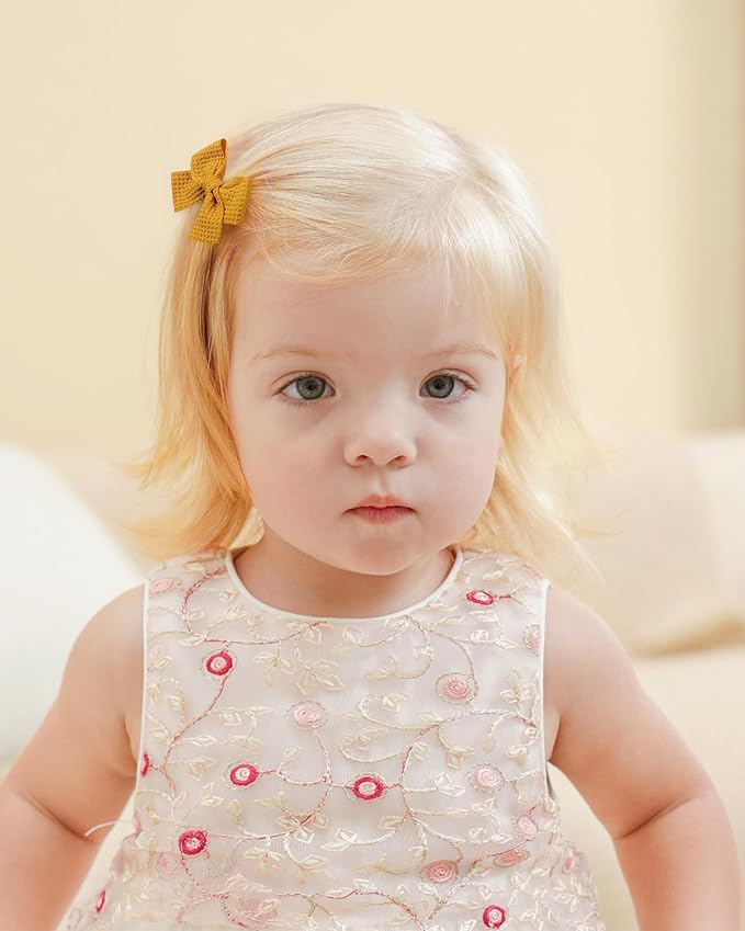 Jollybows 20pcs Baby Hair Clips Girls Bows 2" Mini Alligator Clip Toddler Pigtail Bow Fine Hair Clip