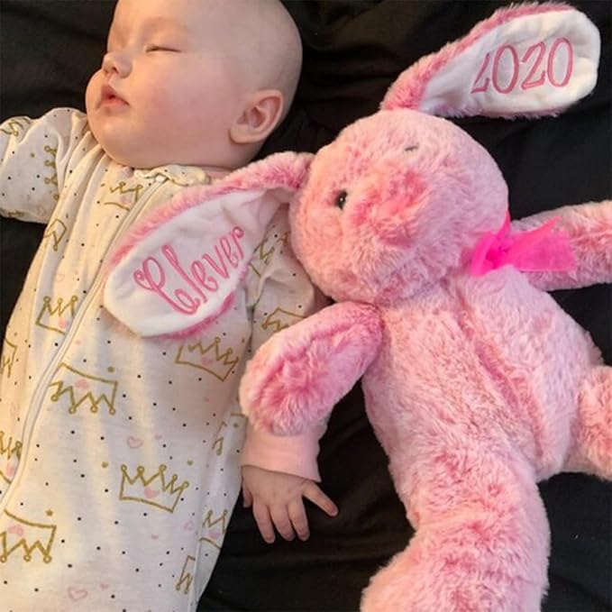 Personalized Plush Stuffed Bunny Animal Toy for Kids, Embroidered Bunny Easter Gifts Bunny Doll Easter Gift Toddler Toys Newborn Toys For Baby Welcome Parties, Easter, Thanksgiving, Christmas