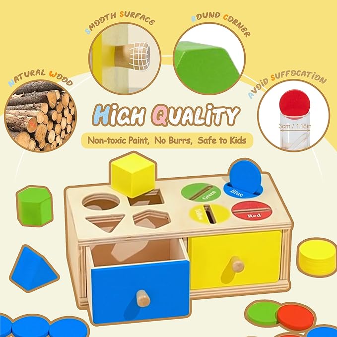 Biottro Montessori Toys for 3 4 5 Year Old - Shape Sorter Matching Color Sorting Recognization Sensory Toys for Toddlers Boy Girl Education Preschool Fine Motor Skills Box Gift