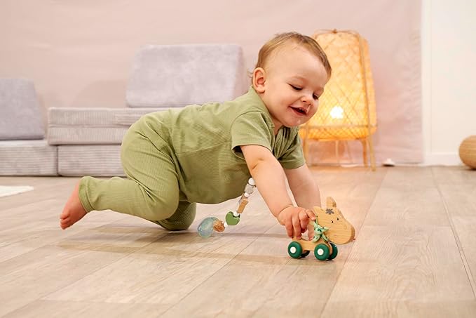 Eichhorn - Baby Hipp Collection - Sliding Donkey with Fabric, Silent Silicone Wheels, 12 cm Long, 100% FSC Certified Beech Wood, Suitable for Children from 1 Year