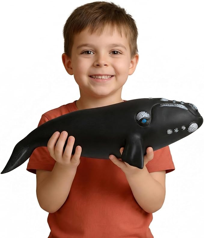 Gemini&Genius Right Whale Action Figure, Shark Animal Ocean Blackfish, Soft Rubber Ocean Whale Shark, Great for Kids Bath Swimming Beach and Cake Toppers Toys